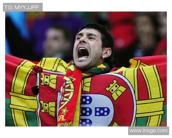 《足球狂热：全球球迷如何追随偶像的激情与梦想》